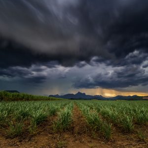 Storm clouds over the Cane Fields, tweed heas, murwillumbah