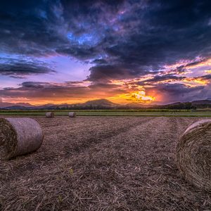 Sunset over the cane fields